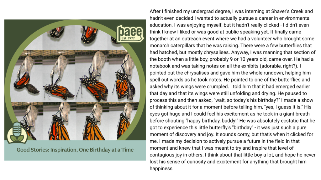 Good Stories Slides (2)